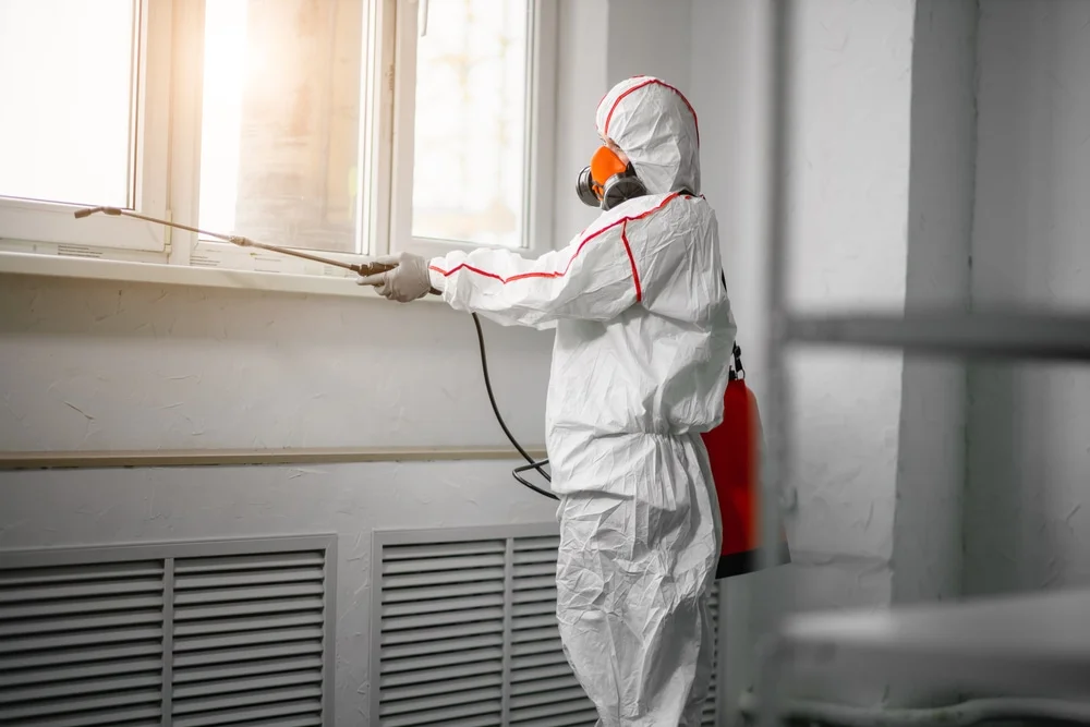 Professional mold remediation services in Cookson, OK